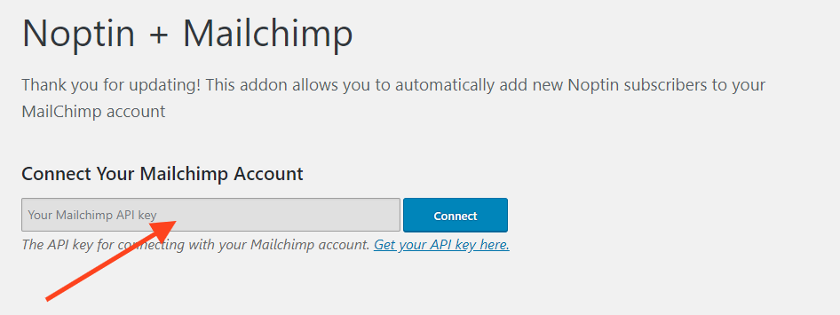Mailchimp api key input field