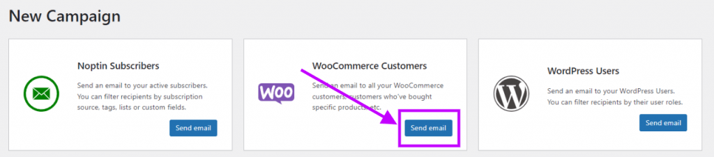 how to send an email to your WooCommerce customers