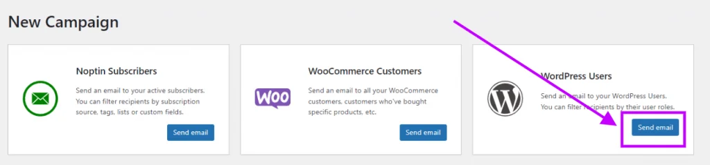 send new campaign to wordpress users