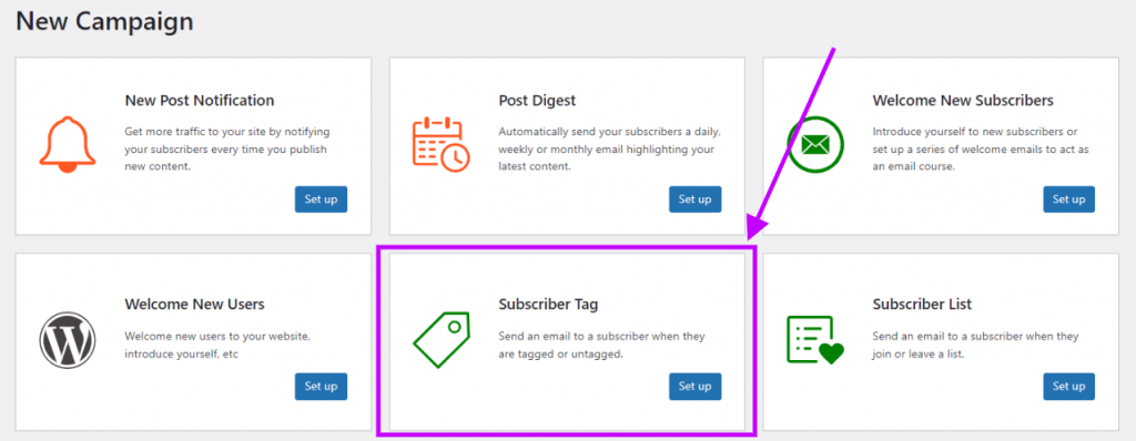 send automated email to tagged / untagged subscribers