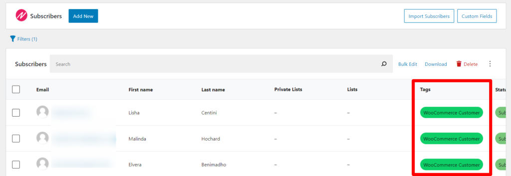An example showing a list of subscribers filtered by tags