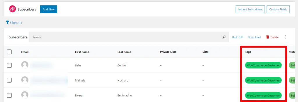 An example showing a list of subscribers filtered by tags